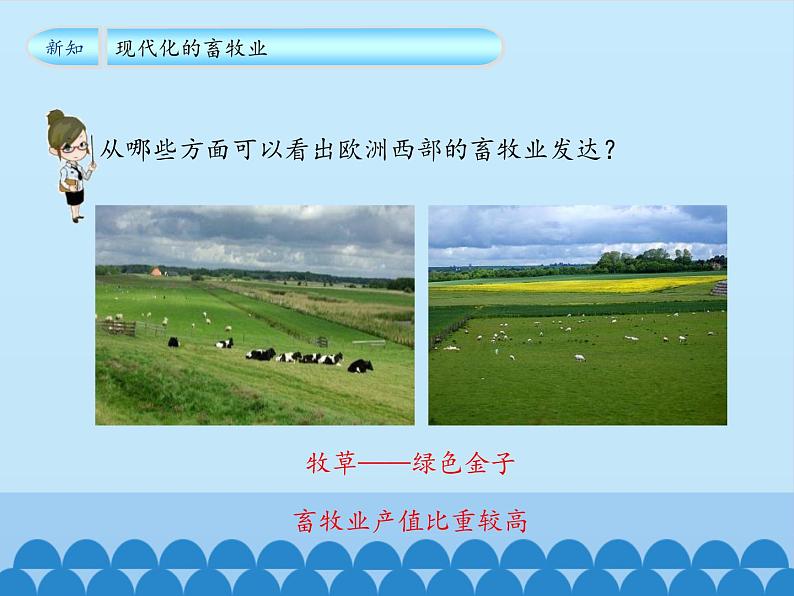 鲁教版(五四制)地理六年级下册 第八章第二节欧洲西部(2)(课件)第8页