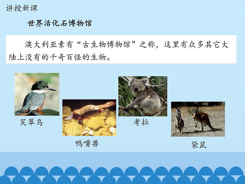 鲁教版(五四制)地理六年级下册 第八章第四节澳大利亚_(课件)第4页