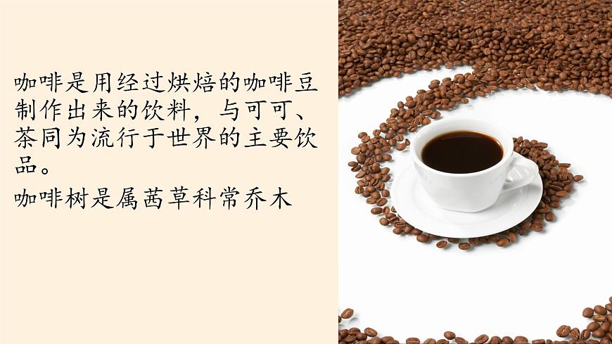 魯教版（五四制）地理六年級下冊 第七章第二節(jié)東南亞(3)（課件）第2頁