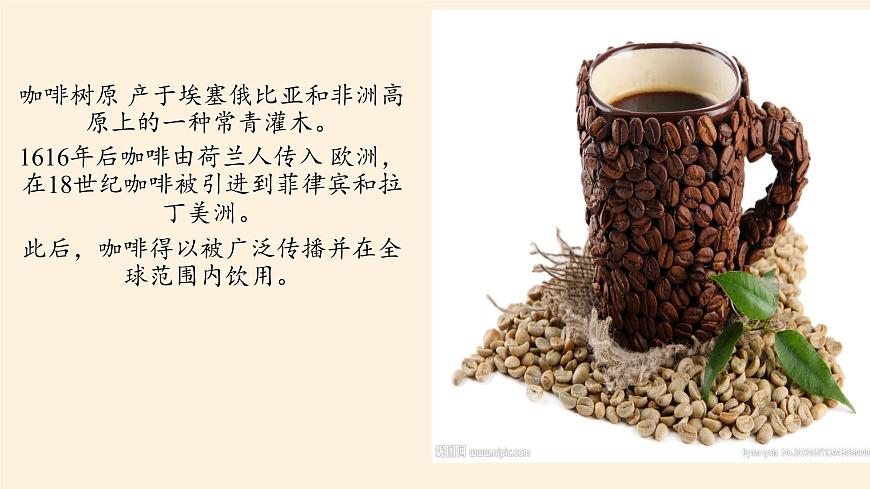 魯教版（五四制）地理六年級下冊 第七章第二節(jié)東南亞(3)（課件）第3頁