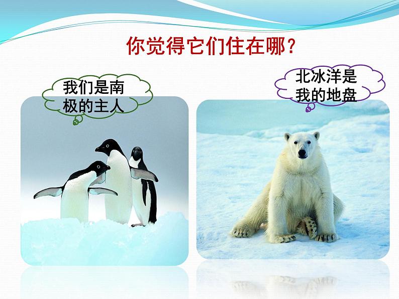 中图版八下地理 6.5 极地地区 课件第2页