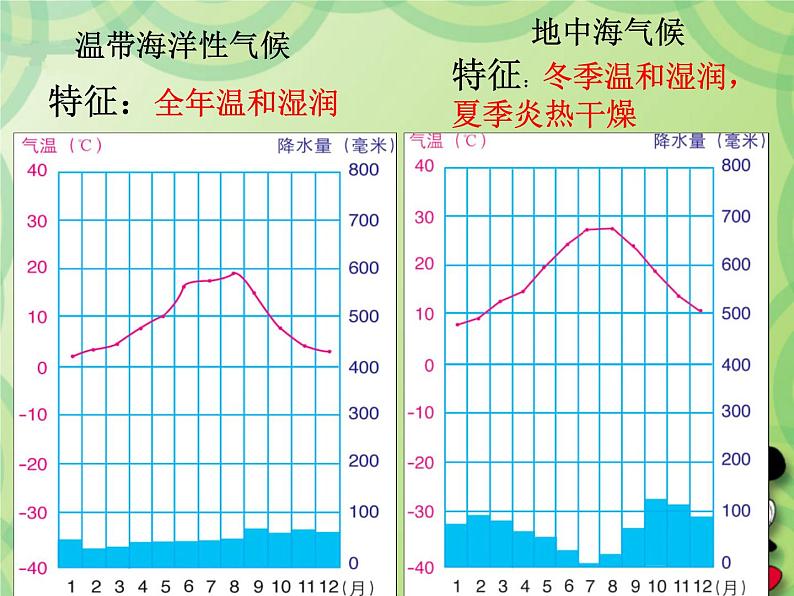 人教版七下地理 8.2欧洲西部 课件第3页