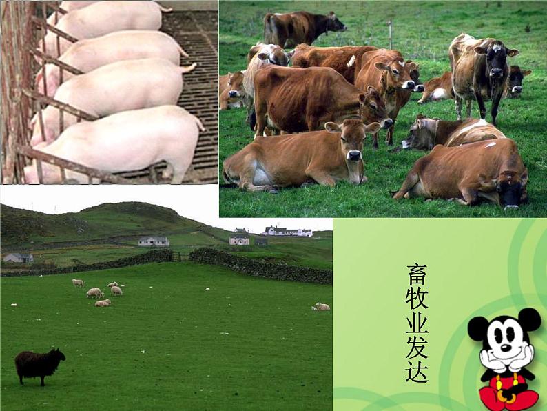 人教版七下地理 8.2欧洲西部 课件第6页