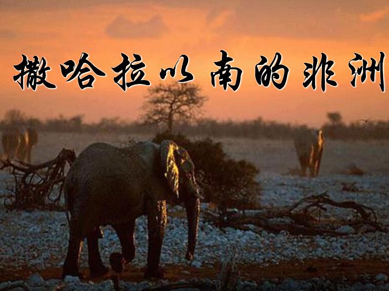 人教版七下地理 8.3撒哈拉以南非洲 课件第2页