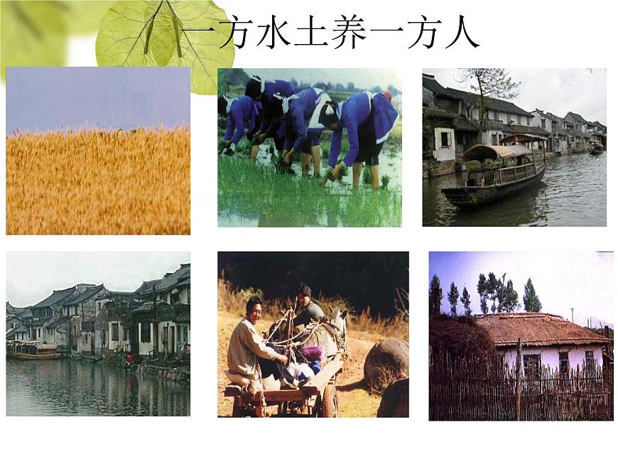 粵教版八下地理 5.1地理區(qū)域 課件第3頁