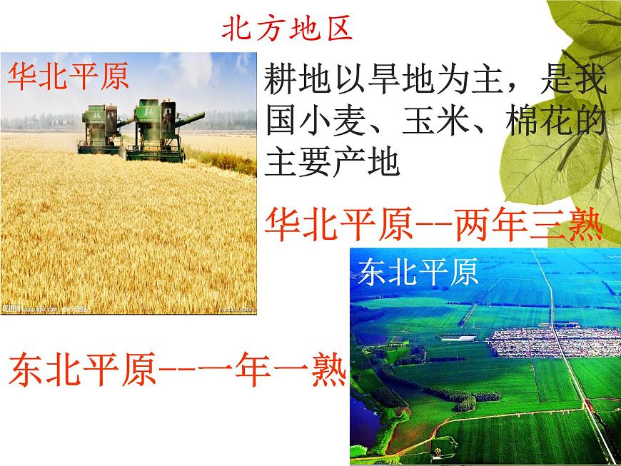 粵教版八下地理 5.1地理區(qū)域 課件第4頁