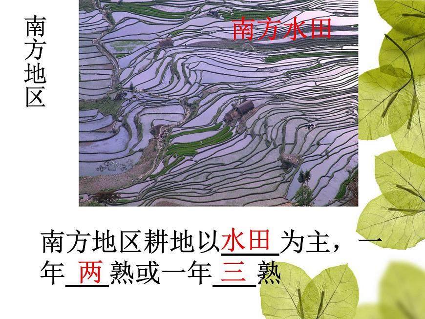 粵教版八下地理 5.1地理區(qū)域 課件第6頁
