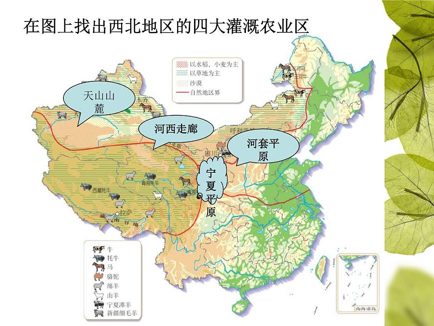 粵教版八下地理 5.1地理區(qū)域 課件第8頁