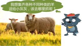 初中地理中图版八年级下册第三节 澳大利亚备课课件ppt