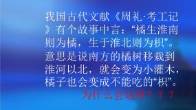 商务星球版八年级下册活动课 认识南方地区和北方地区的区域差异课前预习课件ppt