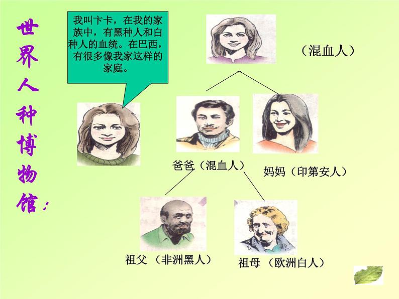 湘教版七下地理 8.6巴西 课件07