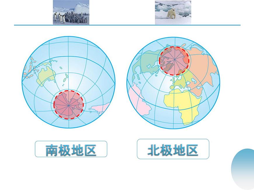中圖版八年級下冊地理 6.5極地地區(qū) 課件第4頁