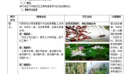商务星球版八年级下册第一节 区域特征教案设计