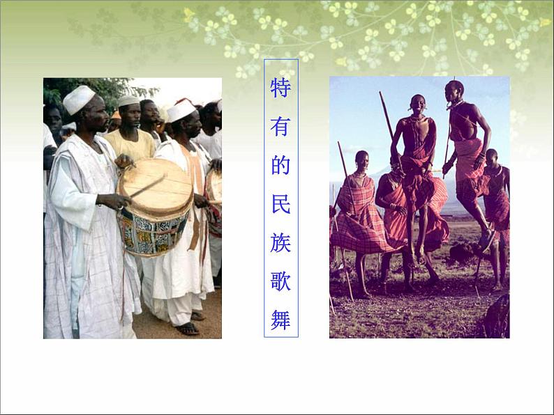 商务星球版七下地理 7.3撒哈拉以南的非洲 课件第8页