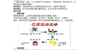 地理第四节 巴西教案设计