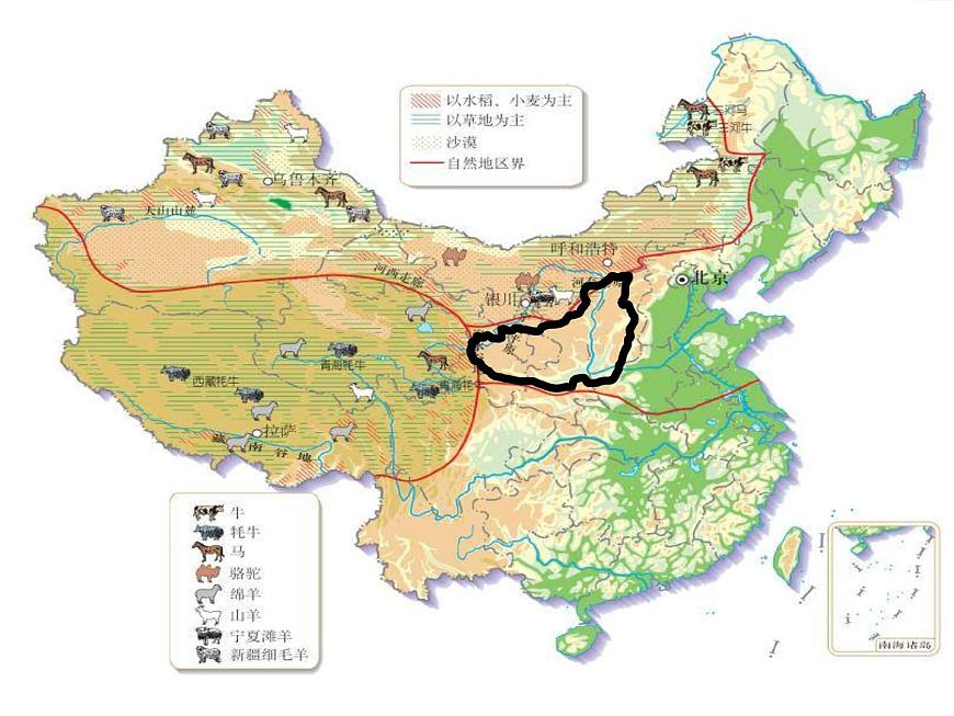 人教版八年級下冊第六章 《世界最大的黃土堆積區(qū)——黃土高原》課件第6頁