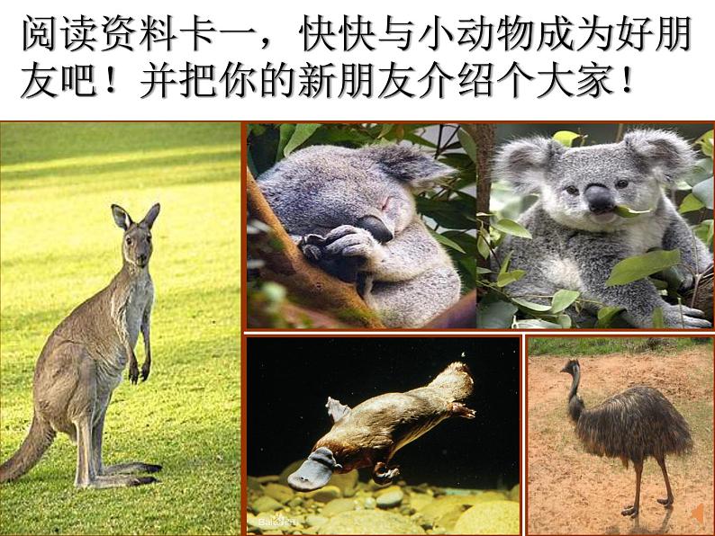 粤教版七下地理 10.3大洋洲概述 课件第8页