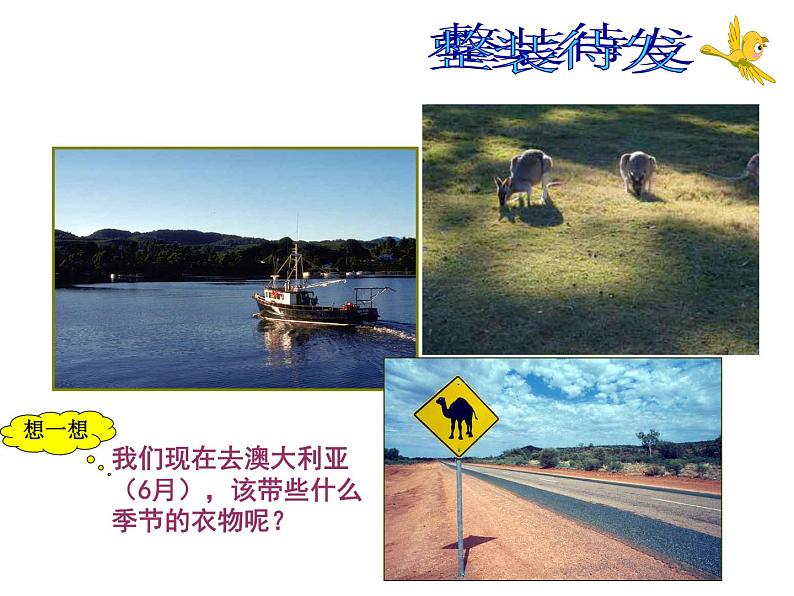 中图版八下地理 7.3 澳大利亚 课件第6页