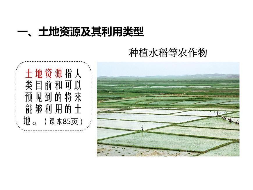 初中地理中圖版七年級(jí)上冊(cè) 土地資源部?jī)?yōu)課件第4頁(yè)