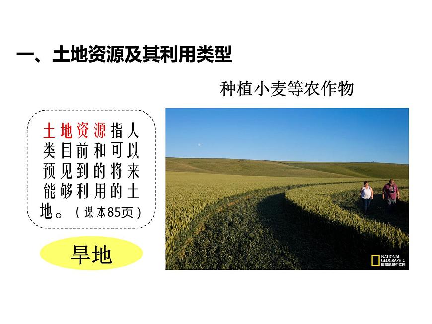 初中地理中圖版七年級(jí)上冊(cè) 土地資源部?jī)?yōu)課件第6頁(yè)