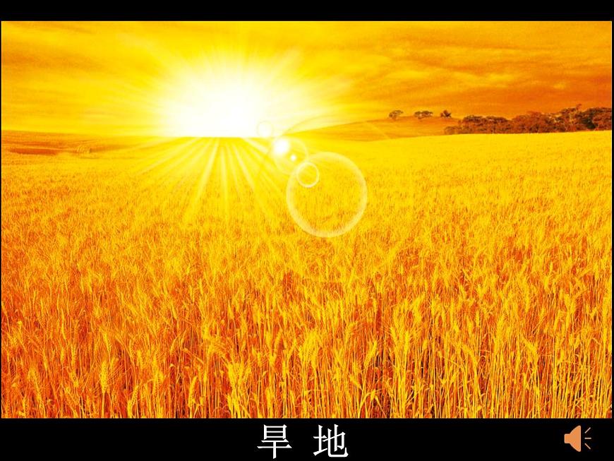 初中地理中圖版七年級上冊 土地資源 ()部優(yōu)課件第6頁