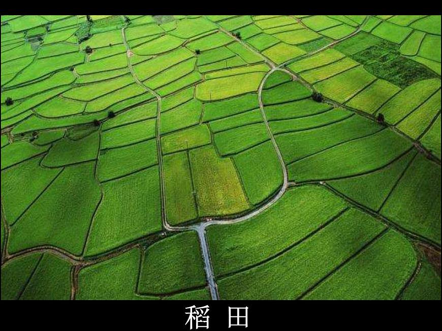 初中地理中圖版七年級上冊 土地資源 ()部優(yōu)課件第8頁