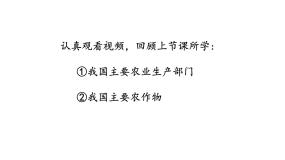 商务星球版八年级上册第一节 	因地制宜发展农业图片课件ppt