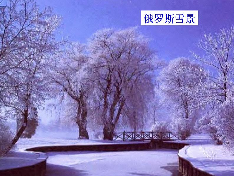 人教版七下地理 7.4俄罗斯 课件第4页