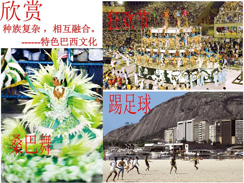 人教版七下地理 9.2巴西 课件第8页