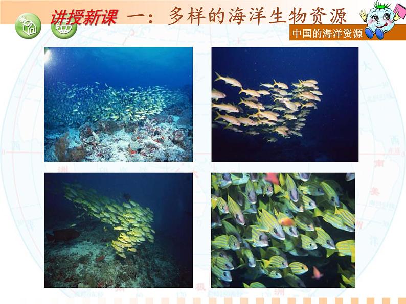 初中地理 湘教课标版 八年级上册 中国的海洋资源 课件第6页