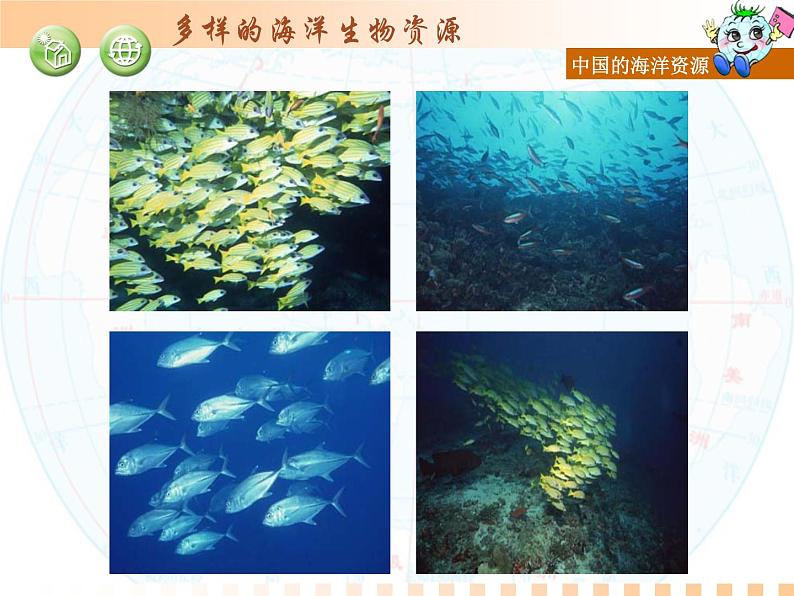 初中地理 湘教课标版 八年级上册 中国的海洋资源 课件第7页
