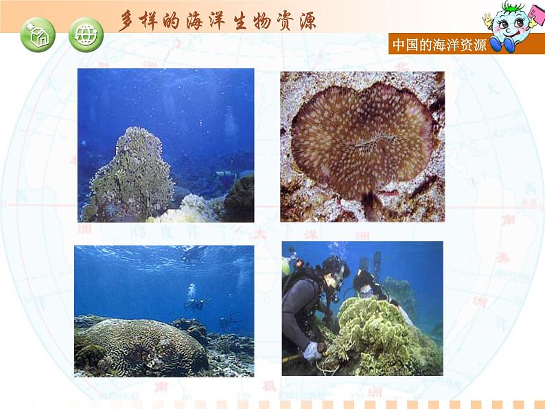 初中地理 湘教课标版 八年级上册 中国的海洋资源 课件第8页