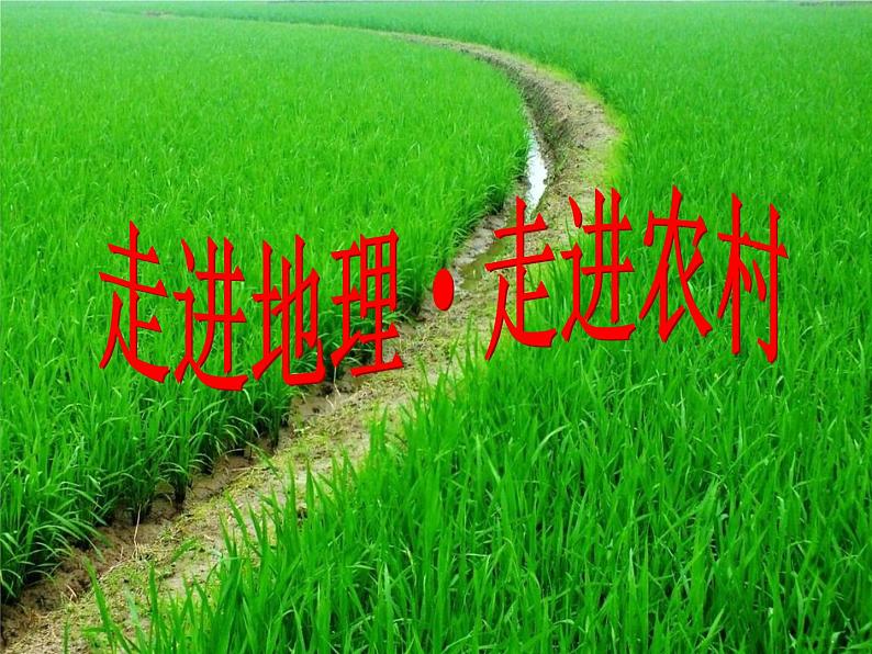 初中地理 湘教课标版 八年级上册 农业《识农业》课件第1页