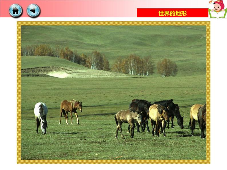 初中地理 湘教课标版 七年级上册 世界的地形 课件05
