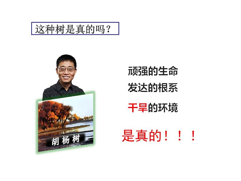人教版八下地理 8.2干旱的宝地 塔里木盆地 课件第3页