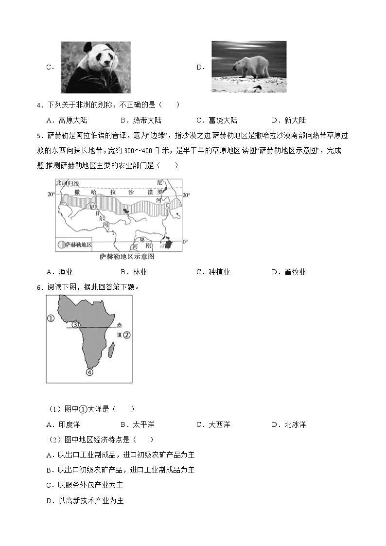 初中地理晋教版七年级下册9.3撒哈拉以南非洲——黑种人的故乡 同步练习02