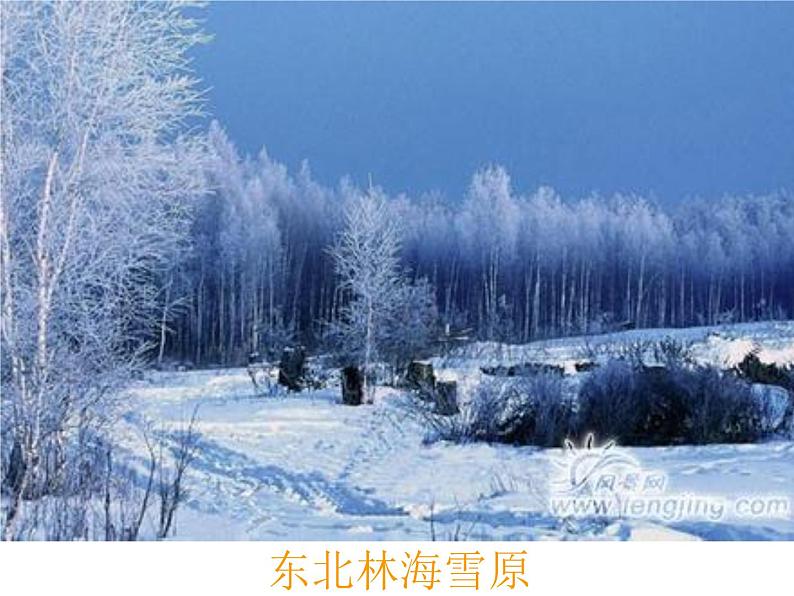 商务星球版八下地理 5中国四大地理区域划分 课件第2页