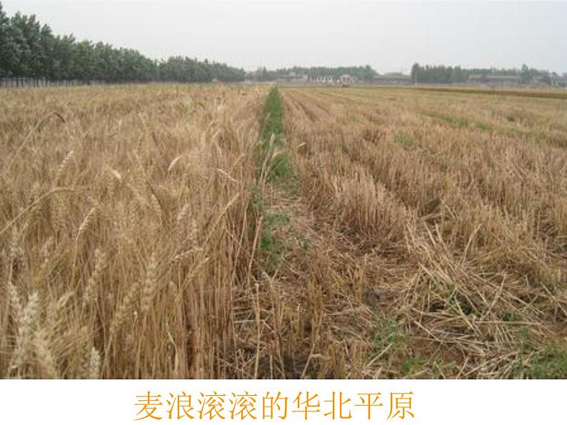 商务星球版八下地理 5中国四大地理区域划分 课件第6页