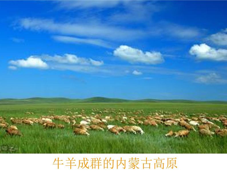 商务星球版八下地理 5中国四大地理区域划分 课件第7页