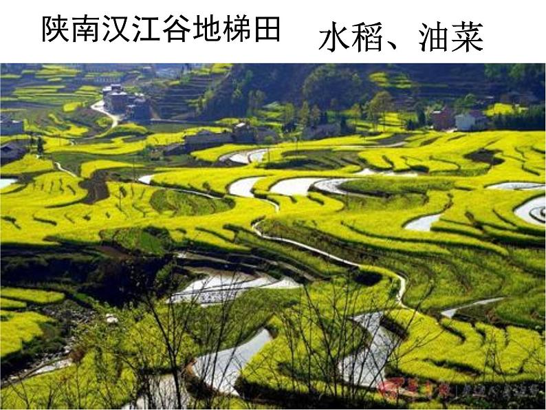 粤教版八年级下册地理 7.5陕西省 课件05