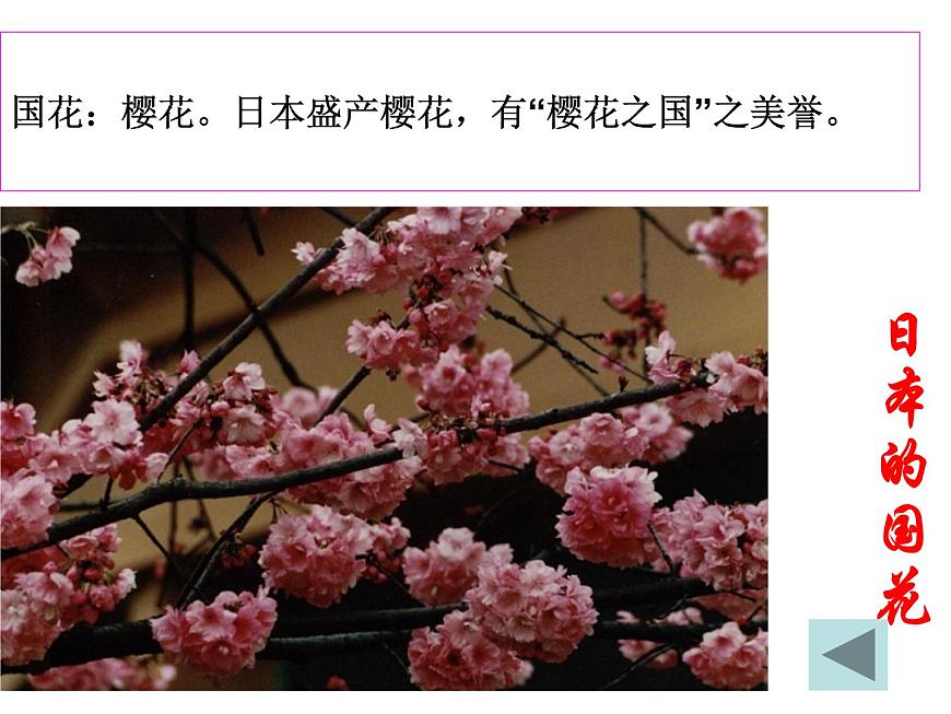 中圖版八年級下冊地理 7.1日本 課件第8頁