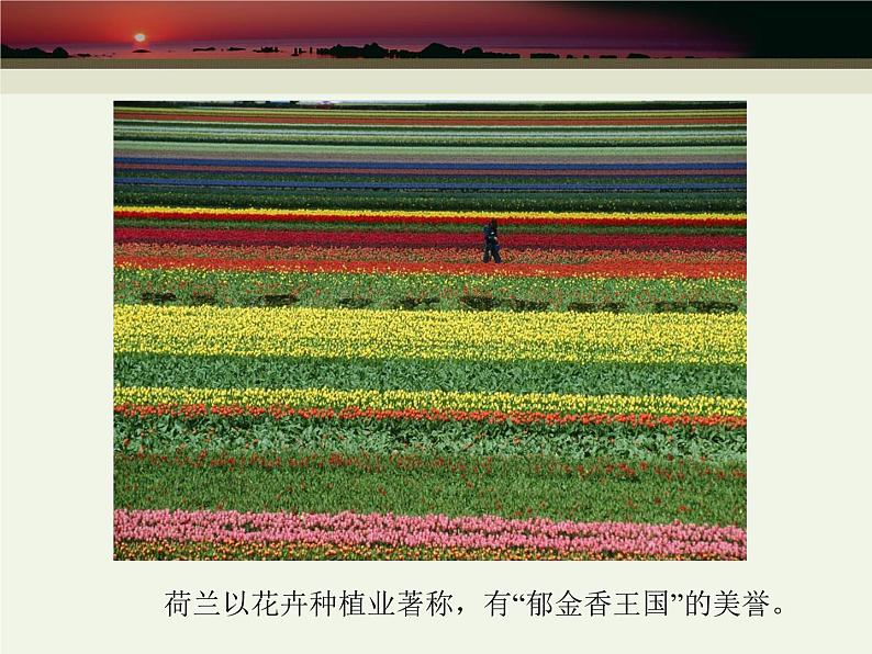 中图版八年级下册地理 6.3欧洲西部 课件第3页