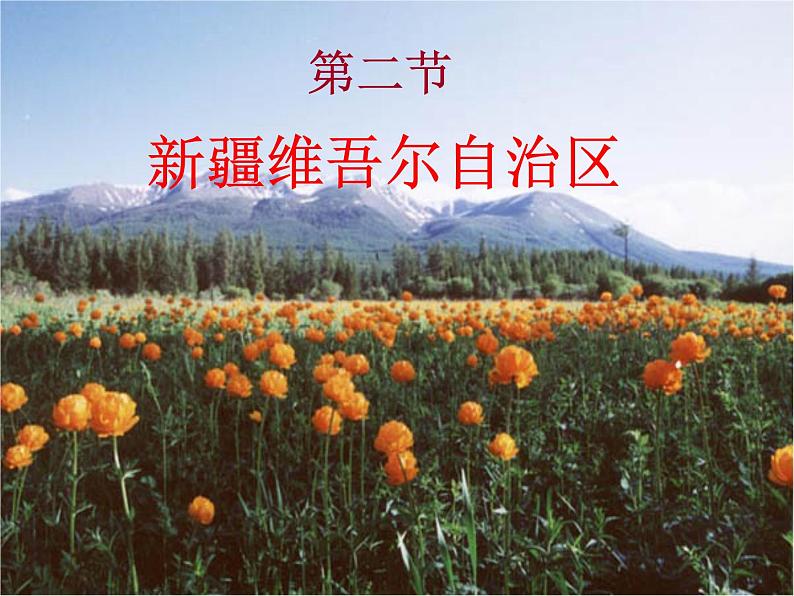 商务星球版八下地理 8.2新疆维吾尔自治区 课件第2页