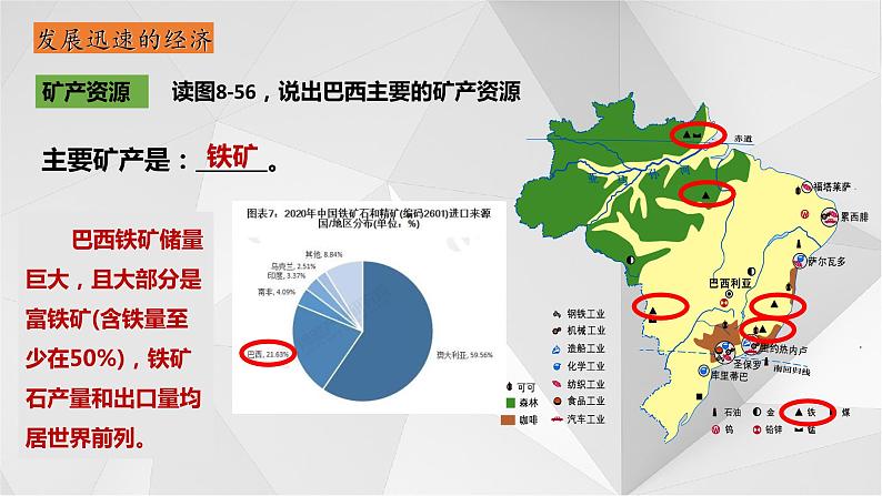 8.6 巴西 第二课时 课件 2021-2022学年七年级地理下册(湘教版)第5页