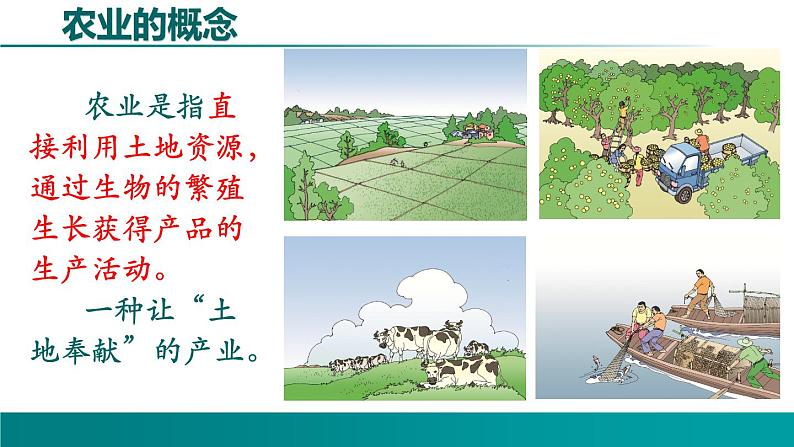 4.1.1 农业-2021-2022学年八年级地理上册同步课堂备课课件(湘教版)第6页
