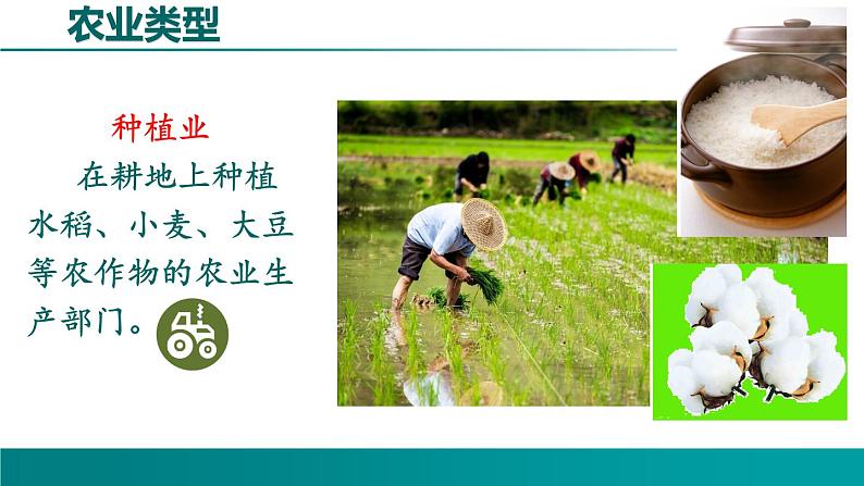 4.1.1 农业-2021-2022学年八年级地理上册同步课堂备课课件(湘教版)第7页