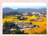 魯教版 (五四制)六年級上冊第三節(jié) 人類的聚居地—聚落一等獎ppt課件