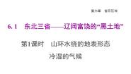 晋教版八年级下册6.1东北地区——辽阔富饶的“黑土地”教案配套ppt课件