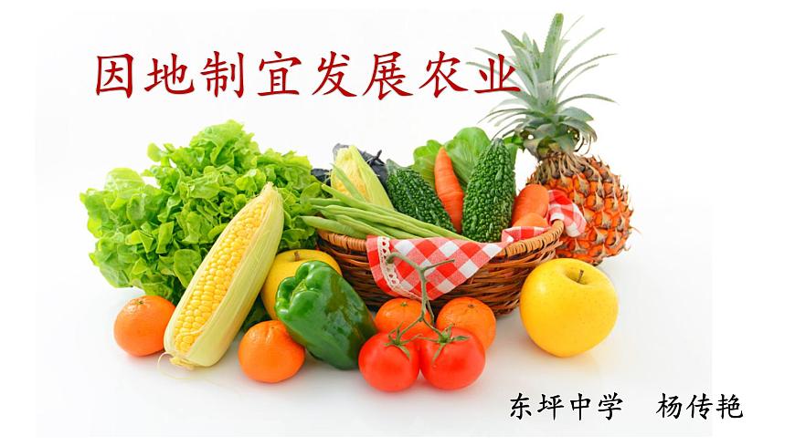4.1因地制宜發(fā)展農(nóng)業(yè) （課件）- 2022-2023學年八年級上冊同步備課系列（商務星球版）第2頁