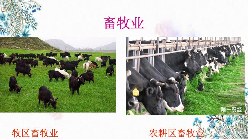 4.1因地制宜發(fā)展農(nóng)業(yè) （課件）- 2022-2023學年八年級上冊同步備課系列（商務星球版）第6頁